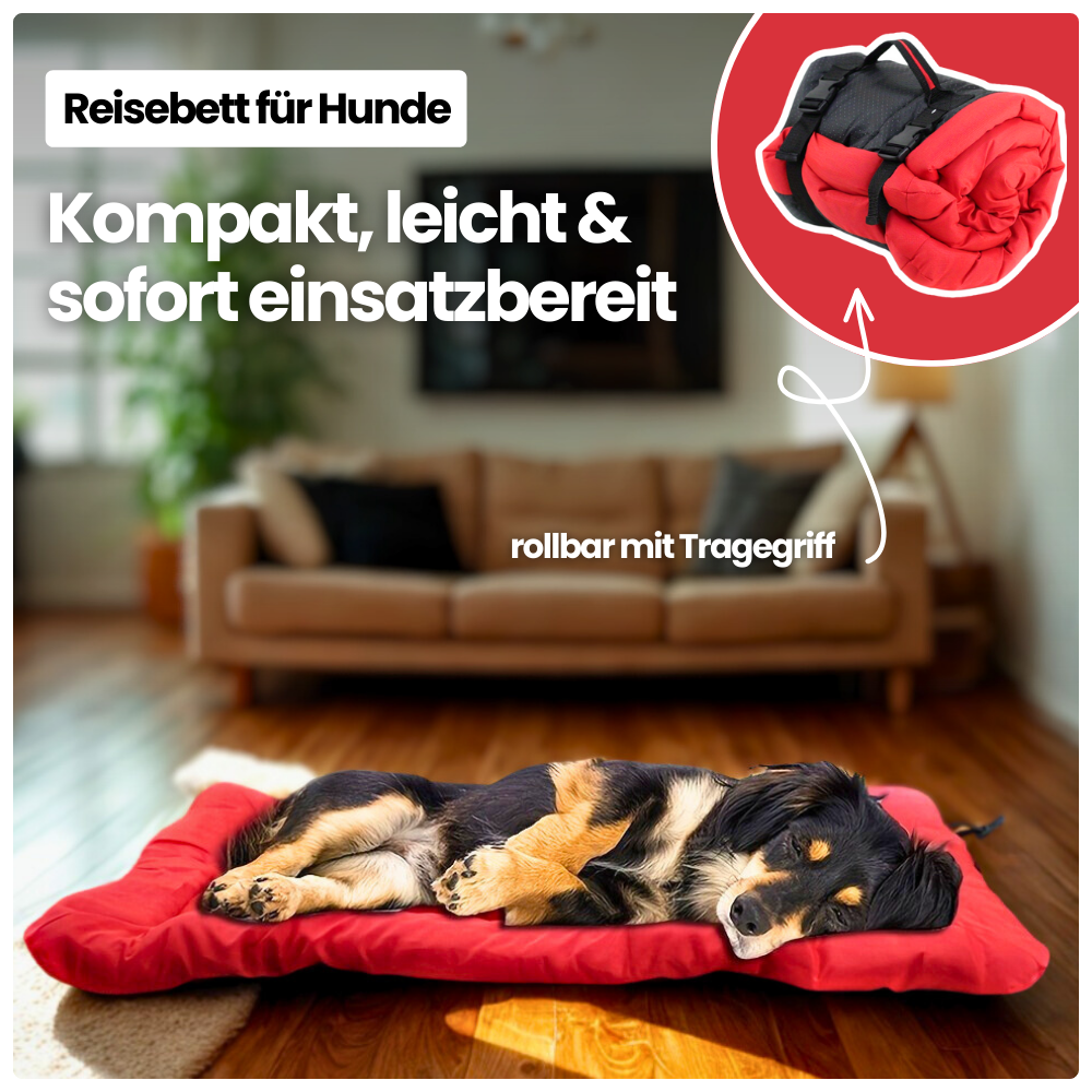 Reisebett für Hunde – Rollbar, wasserfest & bequem für unterwegs