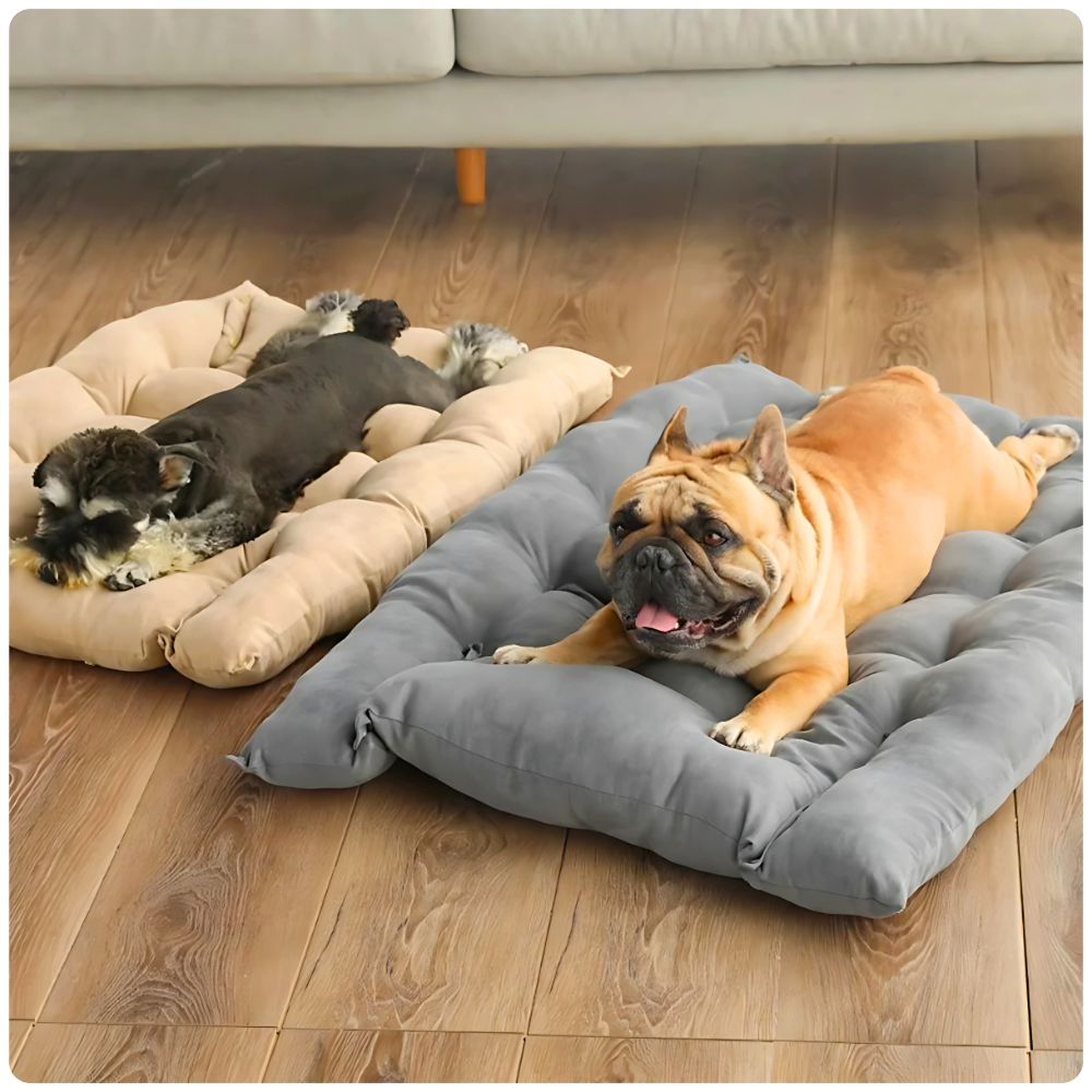 Multifunktions-Hundebett 3 in 1 für Hunde und Katzen