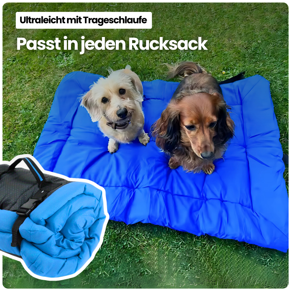 Reisebett für Hunde – Rollbar, wasserfest & bequem für unterwegs