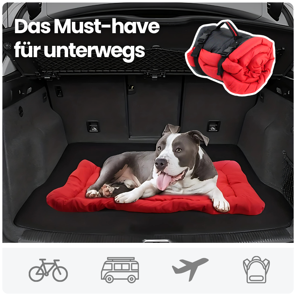 Reisebett für Hunde – Rollbar, wasserfest & bequem für unterwegs